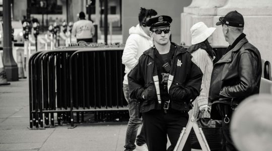 pexels-brett-sayles-1119152