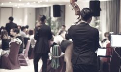 pexels-pietrozj-348517 (1)