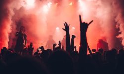 pexels-sebastian-ervi-866902-1763075 (1)