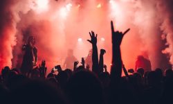 pexels-sebastian-ervi-866902-1763075 (1)
