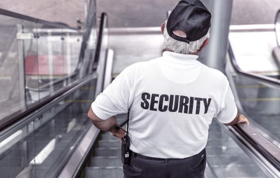 ryanmcguire-security-869216_1280